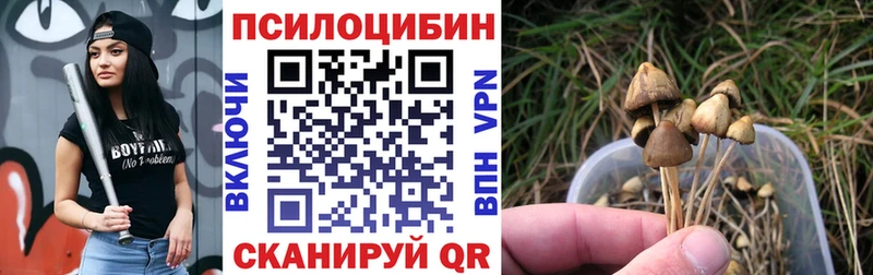 купить цена Лыткарино Галлюциногенные грибы Psilocybine cubensis